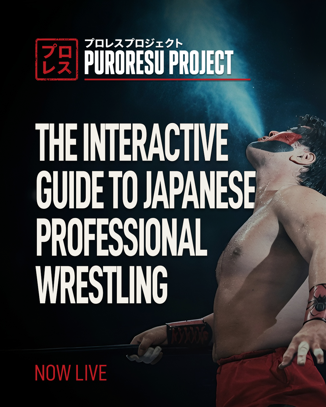 Puroresu Project social carousel introducing the interactive guide to Japanese professional wrestling