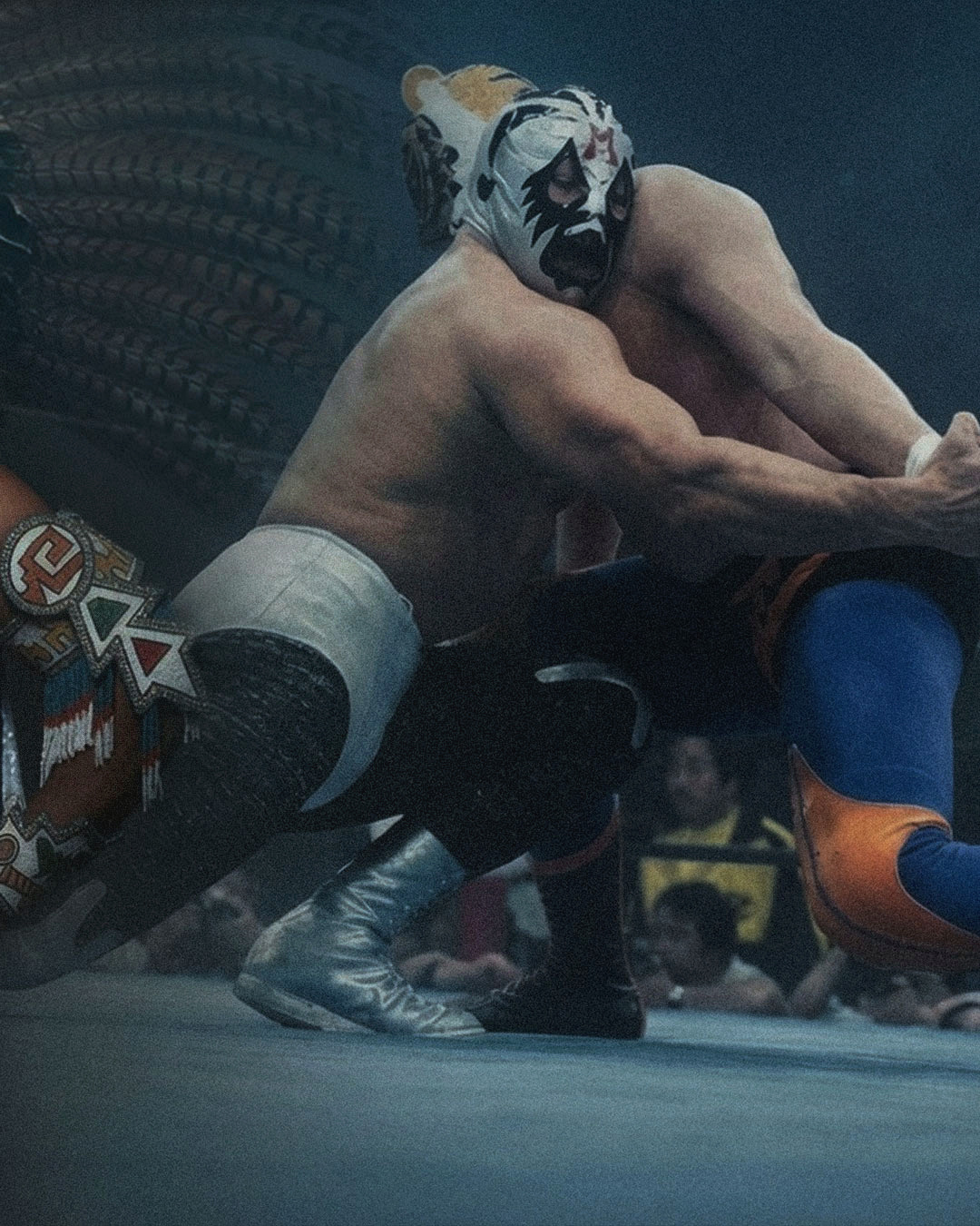 Puroresu Project Mil Mascaras carousel ringside action photograph