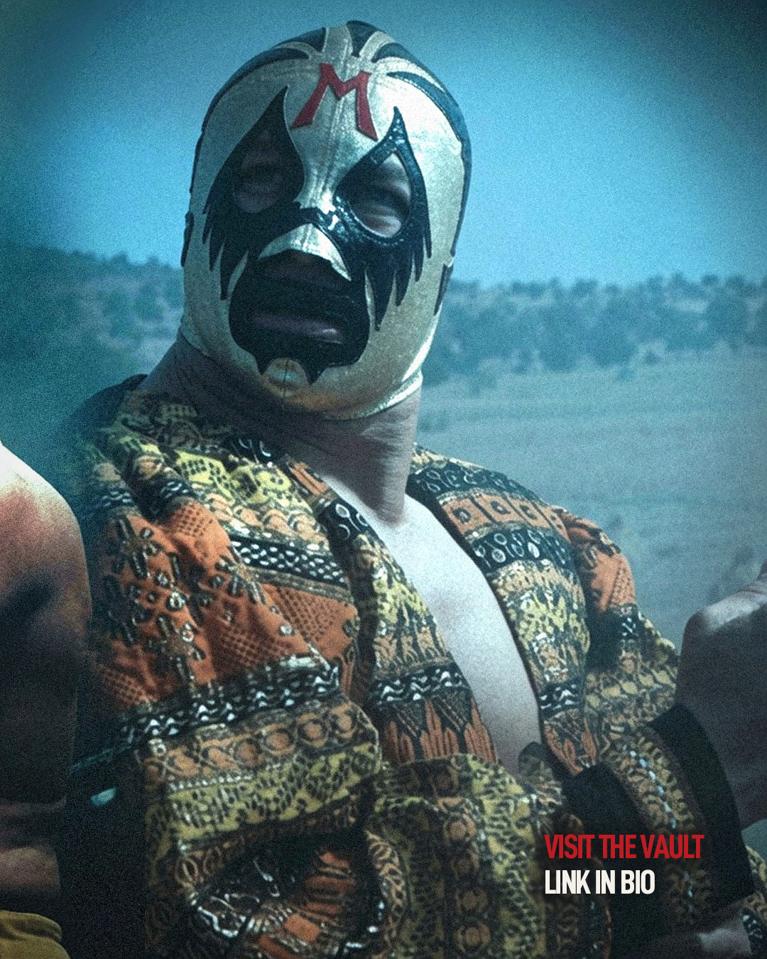 Puroresu Project Mil Mascaras carousel closing slide inviting readers to visit The Vault